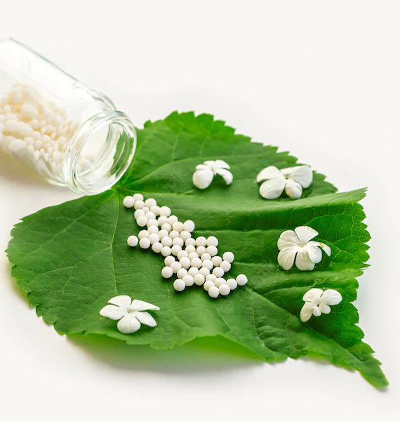 About Best homeopathy doctor meerut
